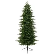 Novogodišnja jelka Grandis slim fir 210cm-100cm Everlands
