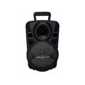 DOT Bluetooth karaoke zvucnik CH-812 sa mikrofonom crni