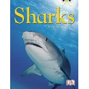 BC NF Blue (KS2) B/4A Sharks