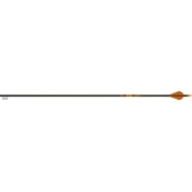 Gold Tip Arrow Carbon 2” Vanes Fletched Ultralight Entrada