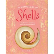An Anthology of Shells