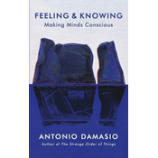Feeling and Knowing