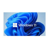 Microsoft WINDOWS 11 PRO 64BIT ENG INSTLOEM dsp dvd (fQC-10529)