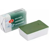 Nevskaya Palitra Akvarelna barva White Nights 2,5 ml Chromium Oxide