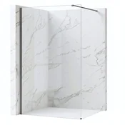 Stena za prhanje Rea Flexi Transparent/Titan 110
