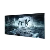 tulup.si Slika na akrilnem steklu Forest unicorn luna 120x60 cm 2 obešalnika