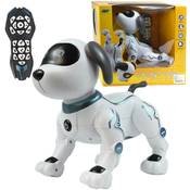 Robot kuca sa funkcijama ( 11/24681 )