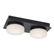 Rabalux 75002 - LED Kopalniška stropna svetilka ATTICHUS 2xLED/5,5W/230V IP44