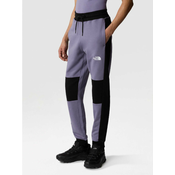 THE NORTH FACE Muške pantalone M ICON PANT