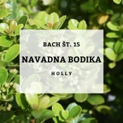 Bachove kapljice 15, Navadna bodika - Holly, 10 ml