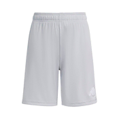 ADIDAS PERFORMANCE Športne hlače ENT26 svetlo siva