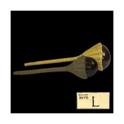Maracas L 35cm 38441113
