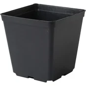 eoshop Lahki kvadratni plastični lonček 9x9x10 cm, črn, 10 kosov