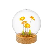 Palais Royal LED dekoracija iz stekla 12 cm