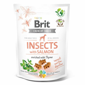 Brit Care Dog Crunchy Cracker Insects with Salmon & Thyme 200 g