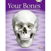 Bug Club Non-fiction Green C/1B Your Bones 6-pack