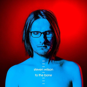 WILSON S.- 2LP/TO THE BONE