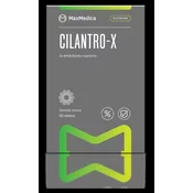 Cilantro-x