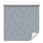 Tapeta z geometrijskim vzorcem, siva, sredinsko siva 50x1000 cm