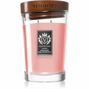 Vellutier Succulent Pink Grapefruit dišeča sveča 515 g