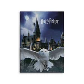 Deka od flisa HARRY POTTER - HEDVIKA 100x140 cm