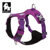 Truelove Oprsnica ULTRA LIGHT - VIJOLA, reflektivna XS