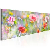 Slika - Rainbow of Morning Poppies 135x45