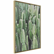 Poster - Cactus Plantation 20x30
