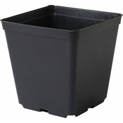 Cvetlični lonček - posoda, trda plastika 7x7x8 cm - 10 kosov