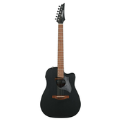 IBANEZ ALT20-WK Akusticna gitara