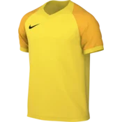Nike Dres Dri-FIT Trophy VI