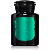 Paddywax Apothecary Noir Tabac & Pine dišeča sveča 226 g