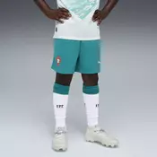 PUMA Portugal 2026 Shorts Youth, Clothing, Green Lagoon/White, 7-8Y