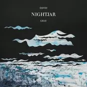 David Gray - Nightjar (2 LP)