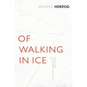 Of Walking In Ice