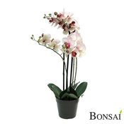 Aranžma orhideje real touch 60cm belo-roza - 50 do 75 cm