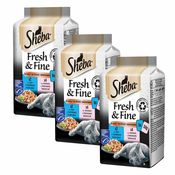 Sheba Fresh & Fine vrečke za mačke, losos in tuna 3x(6x50 g)