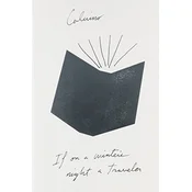 If on a Winters Night a Traveler