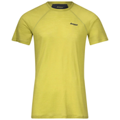 Mens T-shirt Bergans Floyen Wool Tee Green
