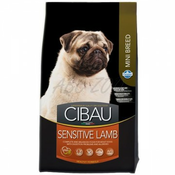 Cibau Adult Sensitive Lamb & Rice Mini - 2.5 kg