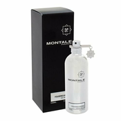 Montale Fougeres Marine parfem 100ml