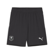 Puma Stade Rennais F.C. 24/25 Shorts Youth, Gray, Size 7-8Y, Clothing