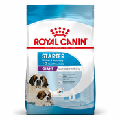 Royal Canin Giant Starter Mother & Babydog - Varčno pakiranje: 2x15 kg