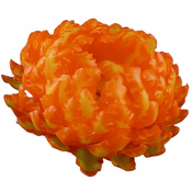 Voščene slamice - rumeno-oranžne (6 cm) - 60 kosov