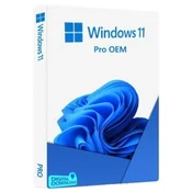 DSP Windows 11 Pro Eng 64-bit, FQC-10528