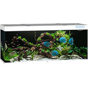 Juwel Rio 450 LED akvarij - bijela