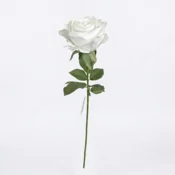 Umetna vrtnica bela 50 cm real touch - bela - 25 do 50 cm