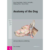 Anatomy of the Dog