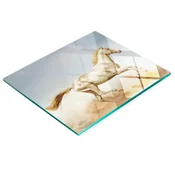 shumee Kuhinjska večnamenska dekorativna steklena tabla s konjskim potiskom 60x52 cm