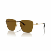 Jimmy Choo Naocare za sunce JC 4005HB 300683